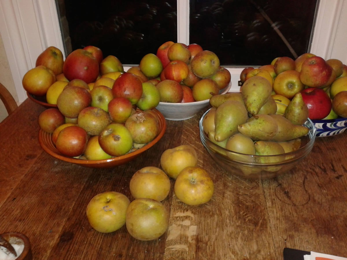 Local Apples - all windfalls otherwise going to waste. edge can help you preserve your crops and prevent food waste